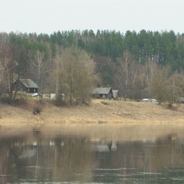 Pārgājiens gar Daugavu uz Rīgu. Daugavas loki.