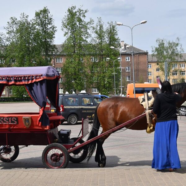 Pārgājiens gar Daugavu uz Rīgu. Daugavpils