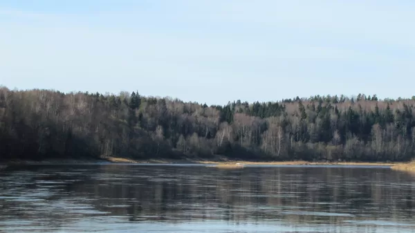 Pārgājiens gar Daugavu uz Rīgu. Daugavas loki. 